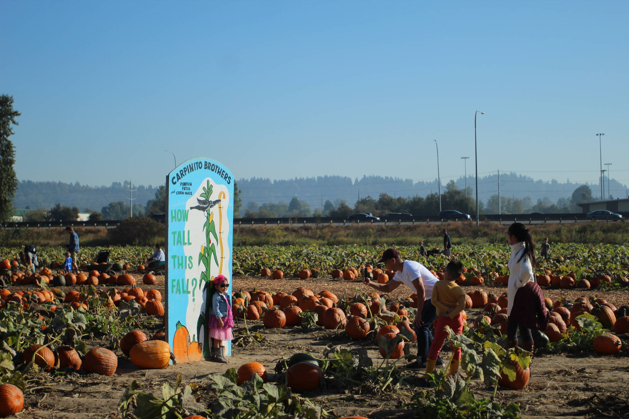 A family snaps a photo at the “How tall this fall?” measuring sign on Sunday, Oct. 16. Olivia Sullivan/Sound Publishing