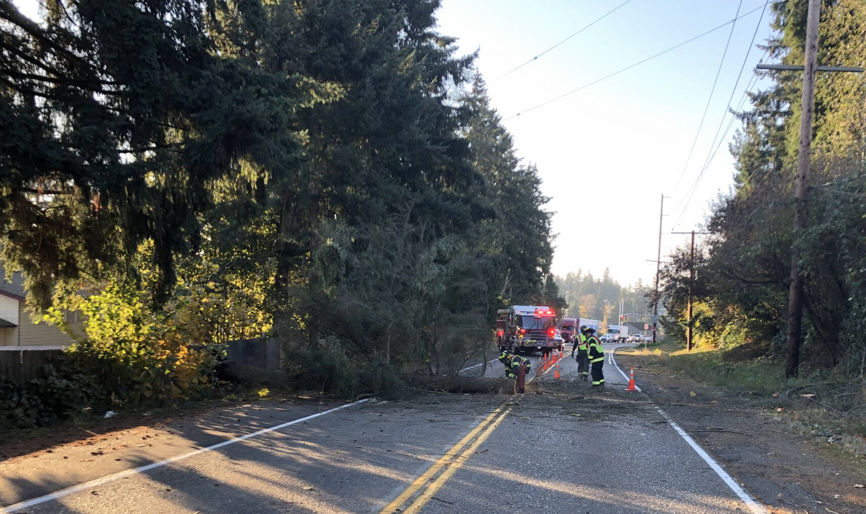 Puget Sound Fire responds to a fallen tree Thursday morning, Nov. 17 along Military Road South in Kent near South 36th Street. COURTESY PHOTO, Puget Sound Fire