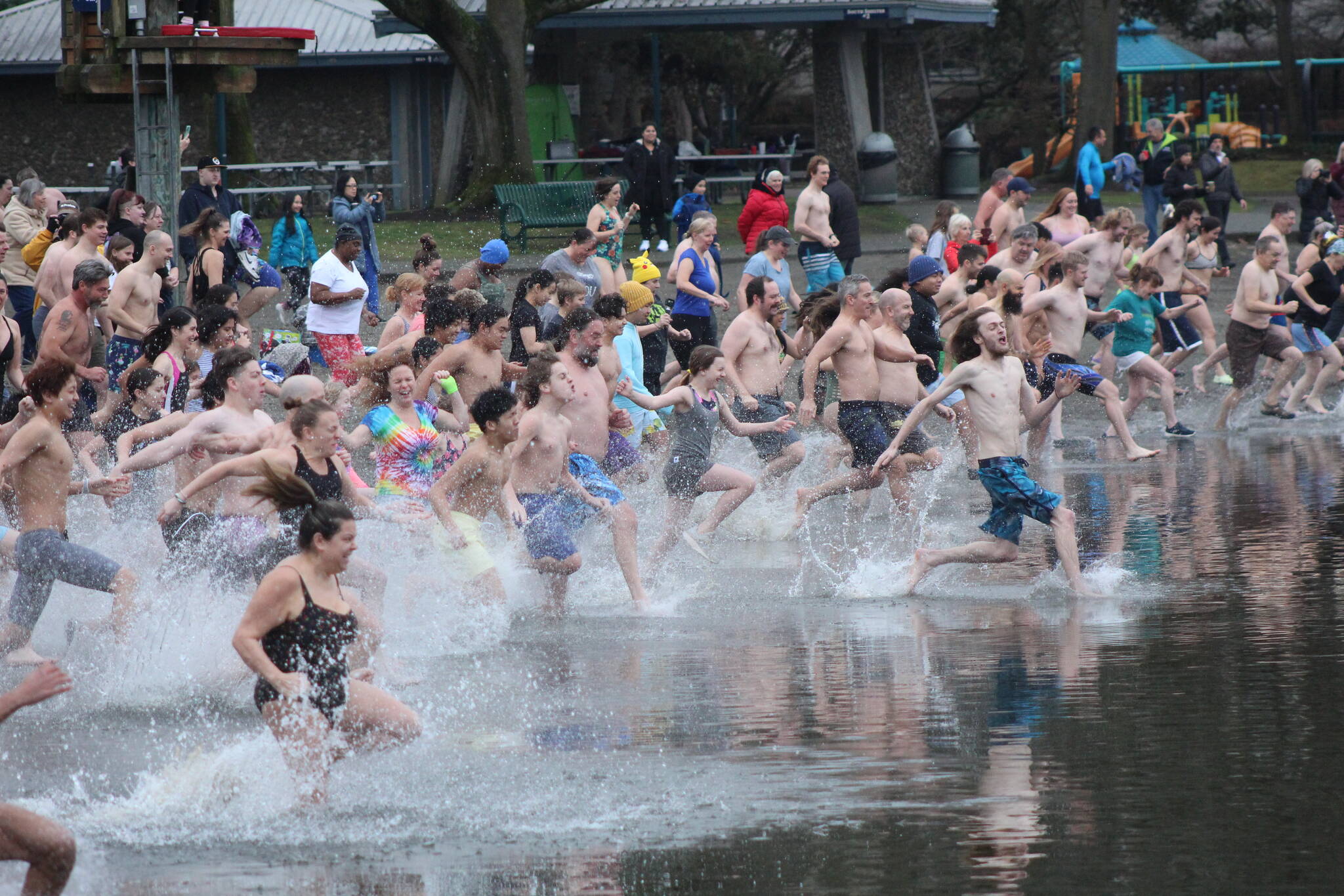 On your mark, get set, plunge! Swimmers jump into the cold water at Renton’s Gene Coulon Park on Jan. 1. Bailey Jo Josie/Sound Publishing.