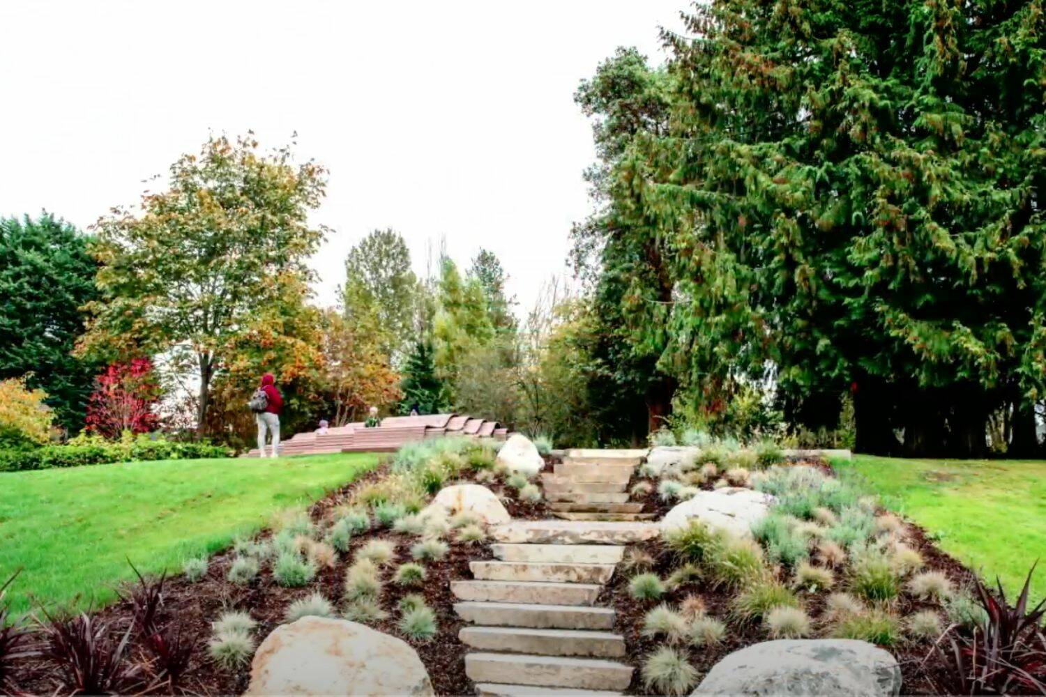 New landscaping at Chestnut Ridge Park. (Screenshot from City of Kent Youtube page)