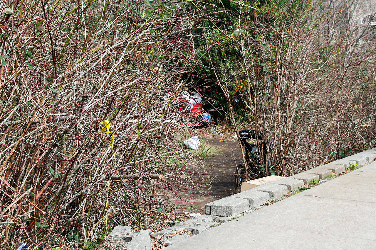 A man was killed March 28 in Kent near this homeless encampment in the 10900 block of SE 256th Street. This March 29 photo shows a strip of yellow tape used by Kent Police to mark the crime scene. BAILEY JO JOSIE, Sound Publishing