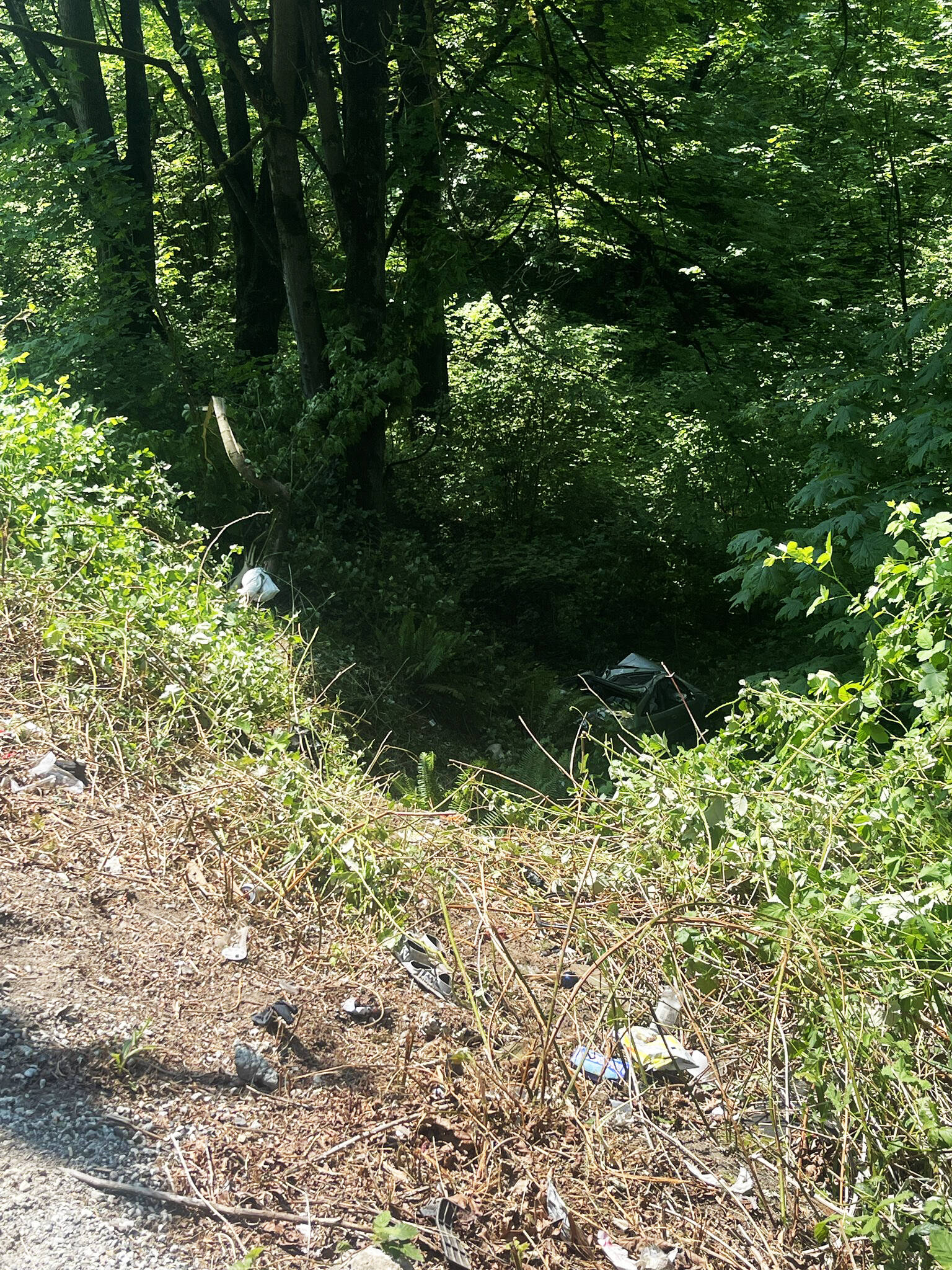 A car sits at the bottom of a 75-foot embankment Friday, May 19 in the 9500 block of South 212th Street in Kent. COURTESY PHOTO, Puget Sound Fire
