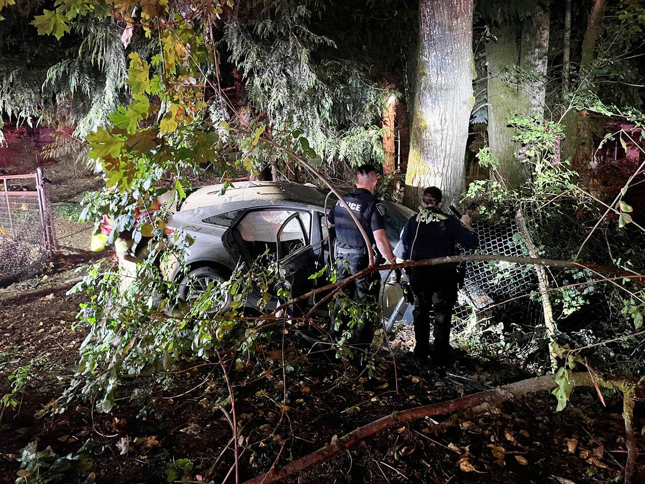 A car occupied by three juveniles crashed into a tree Aug. 29 in Black Diamond. The driver died from injuries in the crash. COURTESY PHOTO, Puget Sound Fire