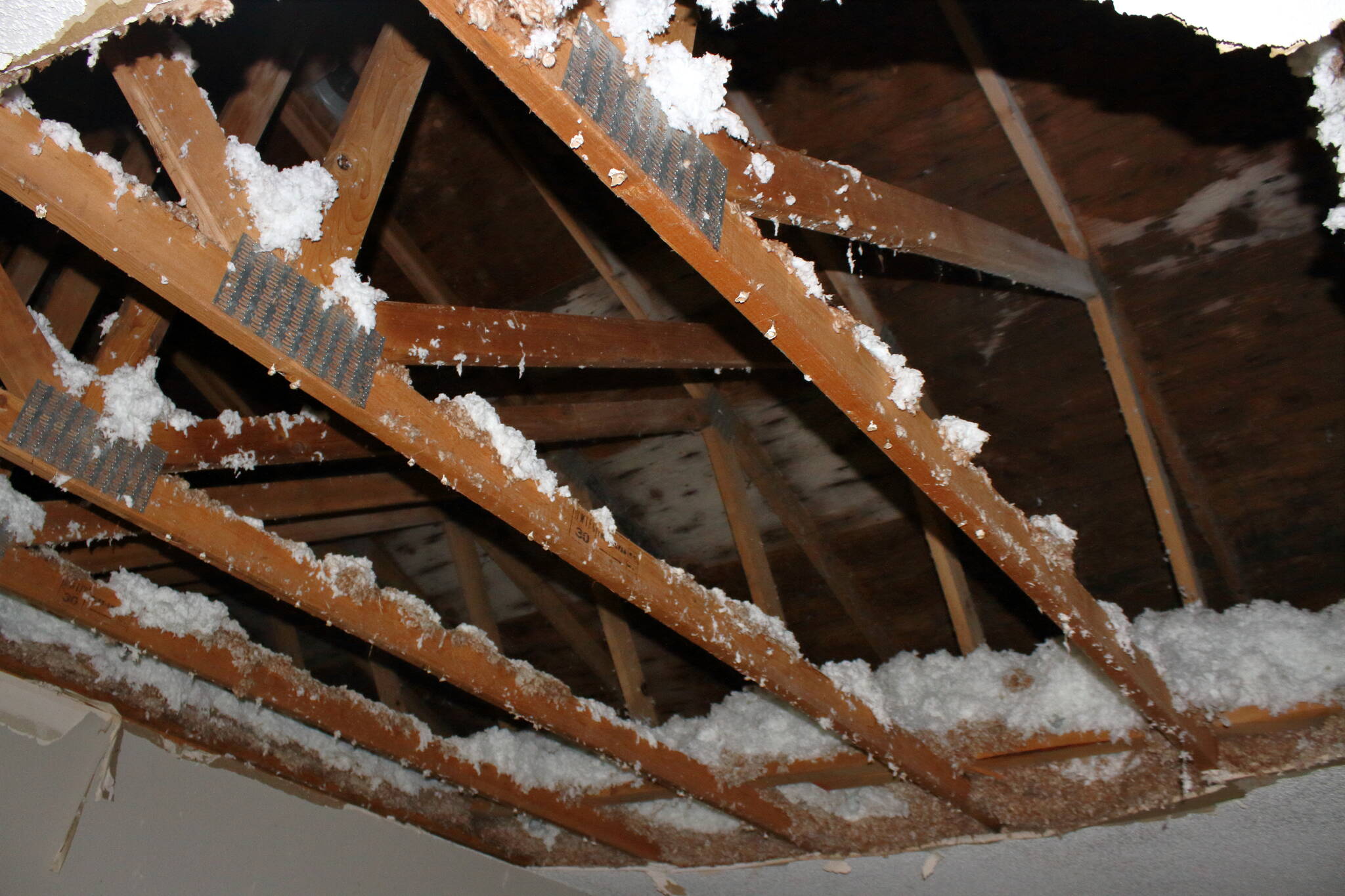 Exposed beams reveal the entirety of the roof after the ceiling fell in at an apartment in the Miro apartment complex. (Photo by Keelin Everly-Lang/The Mirror)