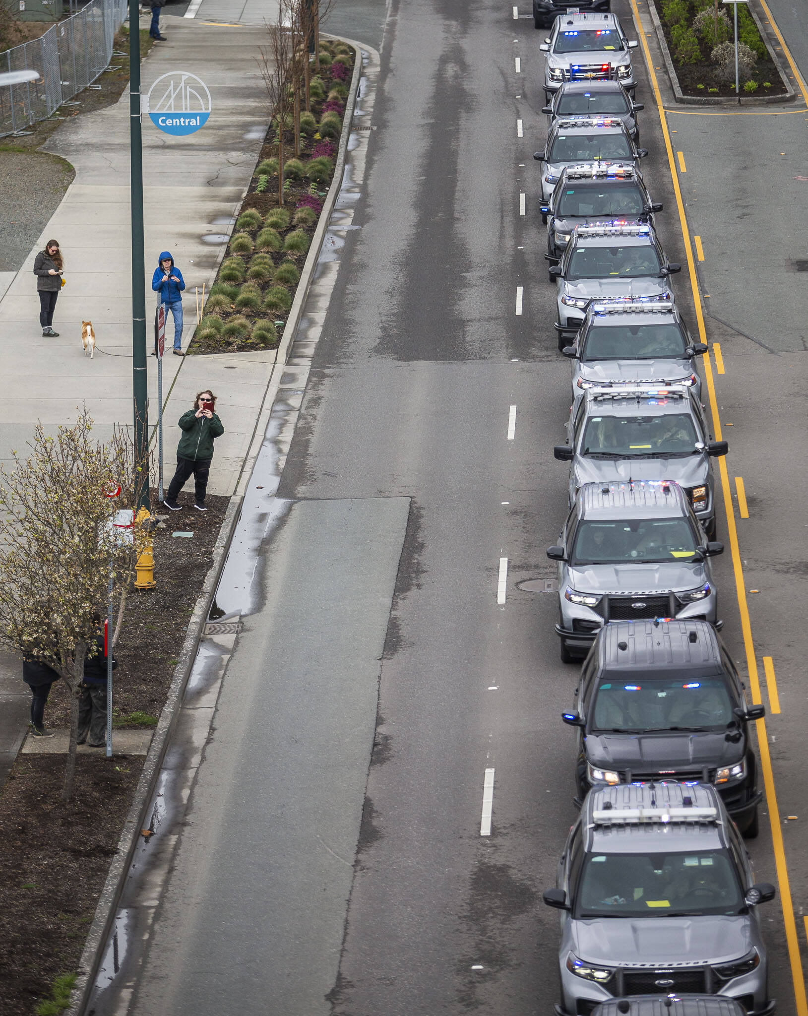 Police cars stop along Marine View Drive during a memorial procession for Washington State Trooper Christopher Gadd on Tuesday, March 12, 2024 in Everett, Washington. (Olivia Vanni / The Herald)