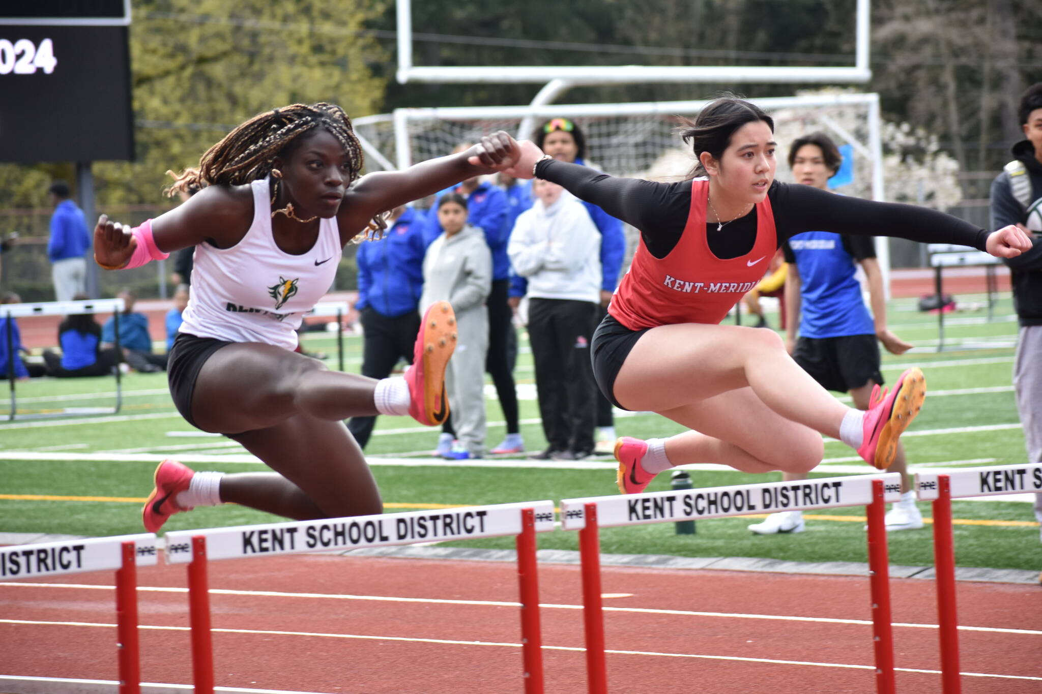 Kentridge and Kent-Meridian runners leaping over hurdles in the first heat. Ben Ray / The Reporter