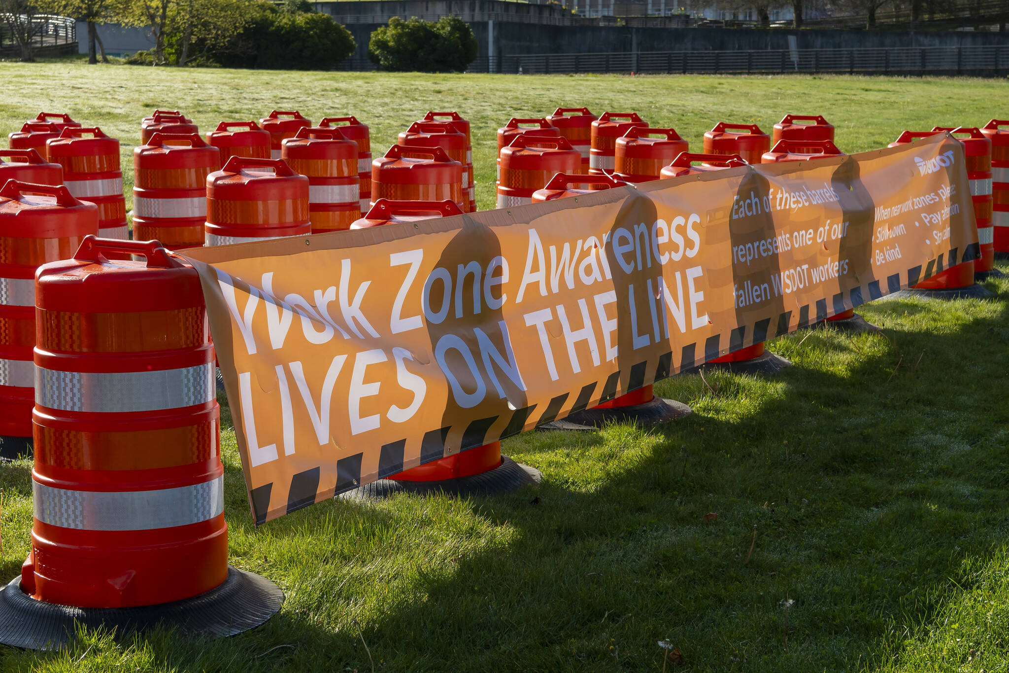 Sixty-one orange traffic barrels were set up April 2, 2024, on the WSDOT front lawn in Olympia. Each cone represents a fallen WSDOT employee killed on the job since 1950 - many in active work zones. The visual display is meant to remind everyone of the importance of slowing down in work zones. Photo courtesy of Washington State Department of Transportation.