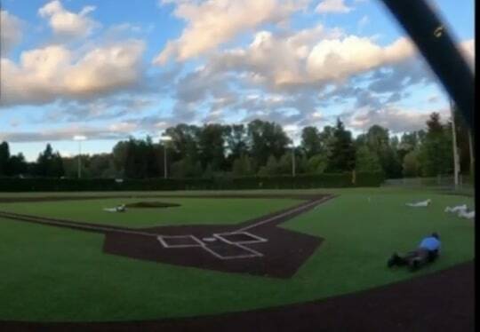 Screenshot
A video shows players on a baseball field in Auburn taking cover amid the sound of gunshots May 19.