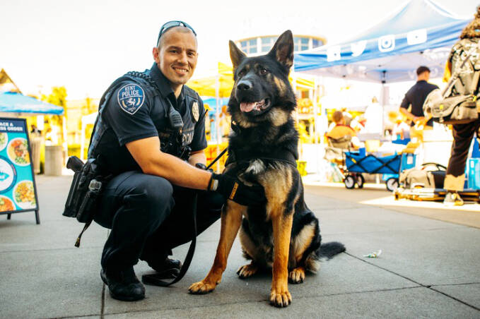 A K-9 unit of Officer Matthew Flesher and Gambit helped find a man Oct. 11 in Kent fleeing on foot from the Washington State Patrol. COURTESY PHOTO, Kent Police