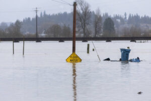 Floodwater from the Snohomish River partially covers a flood water sign on Thursday, Dec. 11, 2025 in Snohomish, Washington. (Sound Publishing photo)