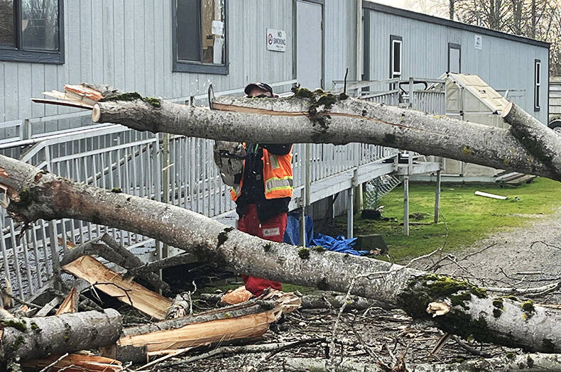 Falling trees damaged the cat building at King County Regional Animal Services in Kent. COURTESY PHOTO, Regional Animal Services