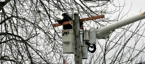 Puget Sound Energy contractors work to repair power lines entangled with tree branches Saturday