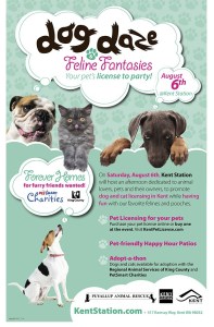 If you are looking for a new best friend or an addition to your family