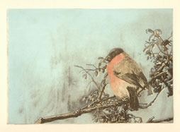 Artists are wanted to enter the juried Kent Summer Art Exhibit.