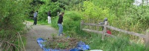 Crews work along a trail at Clark Lake Park in Kent.