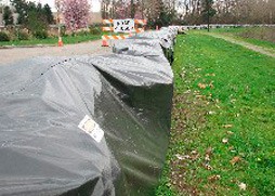 The city of Kent plans to make improvements this year to the Hawley Road levee along the Green River.