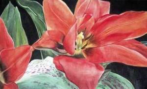 A bright start to a new year Auburn's Cheryl Sallee Gallery will start off 2009 with an exhibit of watercolors by Gigi Paranada. The exhibit runs weekdays