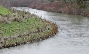 FEMA is working on new flood maps for the Green River Valley.