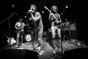The Stone Foxes