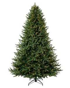 Boy Scouts in Kent will pick up Christmas trees for recycling on Saturday