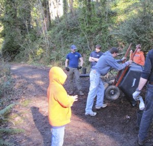 Volunteers and Green Kent Stewards are responsible for a number of restoration projects like this one at Lake Fenwick Park.