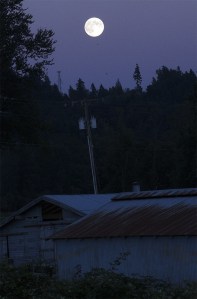 A moon shines over Kent on a pleasant summer night.