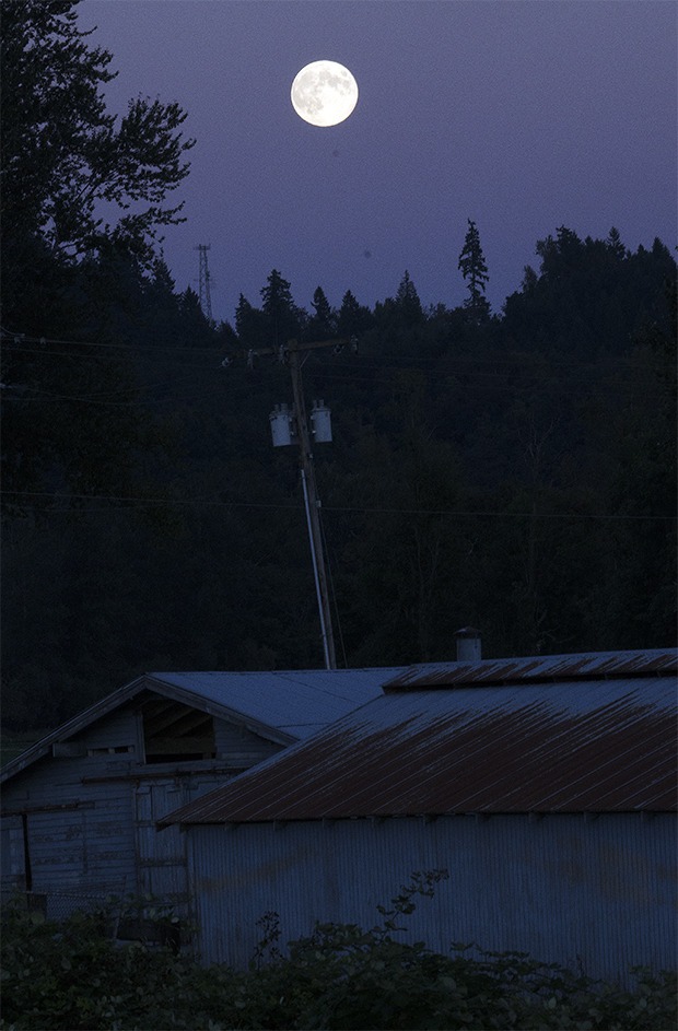 A moon shines over Kent on a pleasant summer night.