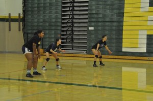 Kentridge will chase SPSL