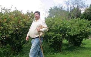 Project Manager for Blueberry Cottages J.B. Ruth walks by the cluster of blueberry bushes Tuesday
