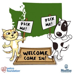Pawsitive Alliance's mission is to help end the killing of adoptable dogs and cats in Washington by increasing adoptions