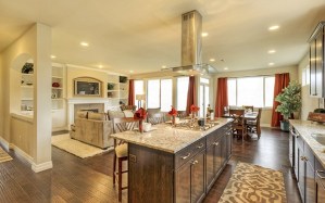 Homes at Malik Ridge come standard with many sought-after design details including white-painted millwork