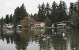 Kent City Council members plan to attend a Lake Meridian neighborhood meeting and other neighborhood meetings throughout town this spring to survey residents on which city services are the most important to them. Shown above is Lake Meridian.