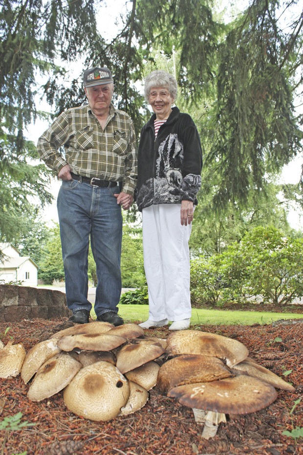 Dean and Marlene Cimmer