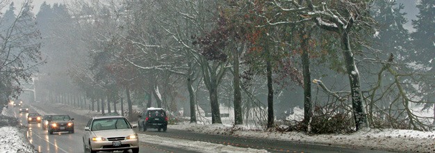 Trees branches litter West Meeker Street and the sidewalks from the weight of the ice and snow on the branches