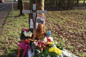 Friends and co-workers set up a memorial Friday to Eddie Mariano in the 23800 block of 64th Avenue South. Mariano died after his pickup ran into this tree on Thursday morning.