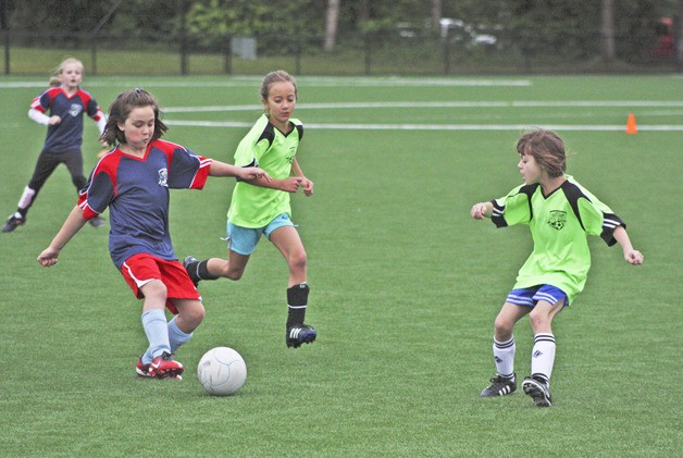 Youth leagues compete on the new pitch at Petrovitsky Park last Saturday. Officials officially celebrated the reopening of two
