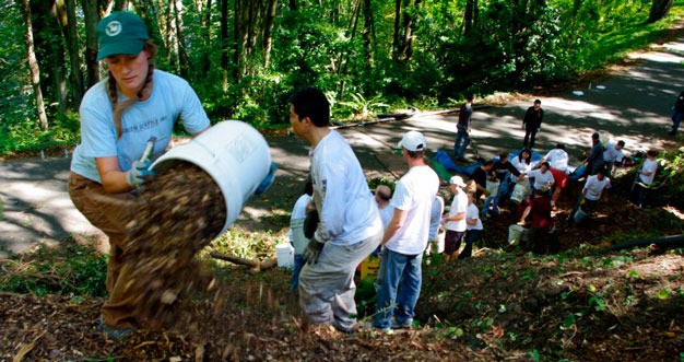 Volunteers are wanted in Kent on Saturday