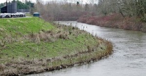Kent city officials have several projects planned over the next few years to upgrade Green River levees to meet Federal Emergency Management Agency standards.
