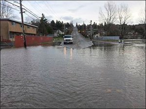 Kent city officials plan to dredge Mill Creek in the next several years to help reduce flooding along James Street and other roads.