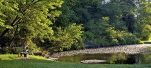 A man relaxes and reads by the stormwater pond filled with cottonwood pollen at Mill Creek Earthworks Park on Monday evening. Allergies beware