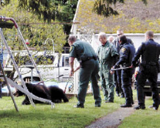 It took about 20 Renton firefighters