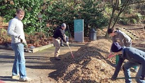 The city of Kent needs volunteers to help clean up parks. Courtesy Photo/City of Kent