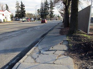 Roots of trees tore up sidewalks along Central Avenue South. City crews removed the trees as part of the street repair project. Courtesy Photo/City of Kent