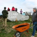 As kids climb on the new granite rock boulder for Clark Lake Park, volunteer Holly Bork, with Girl Scouts Troop 40346, carries a wheelbarrow of mulch to be spread at the base of some newly planted trees during Kent&rsquo;s fall Arbor Day celebration on Saturday. MARK KLAAS, Kent Reporter