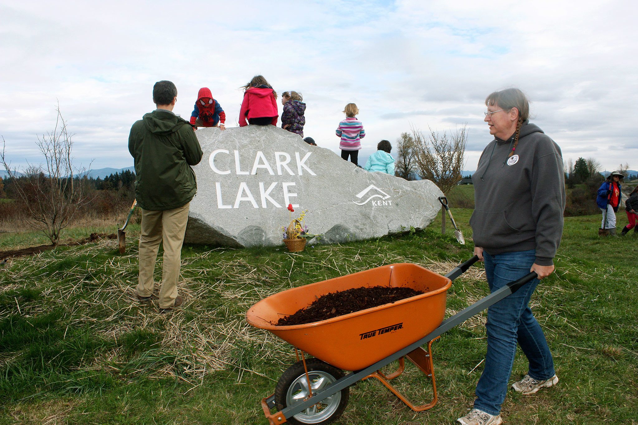 As kids climb on the new granite rock boulder for Clark Lake Park, volunteer Holly Bork, with Girl Scouts Troop 40346, carries a wheelbarrow of mulch to be spread at the base of some newly planted trees during Kent&rsquo;s fall Arbor Day celebration on Saturday. MARK KLAAS, Kent Reporter