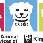 Bella and Lily top the most popular pet names in King County