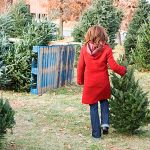 Kent RFA offers holiday tree safety tips