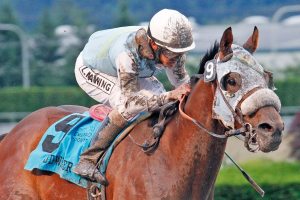 Stryker Phd set for 2017 debut; Point Piper runs Saturday at Santa Anita | Thoroughbred racing