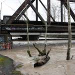 The White River is prone to flooding through Pacific. REPORTER FILE PHOTO
