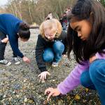 Elementary students from the Kent School District schools explore ecosystems with Woodland Park Zoo education staff during their Wild Wise: Ready, Set, Discover program. COURTESY PHOTO, Ryan Hawk/Woodland Park Zoo